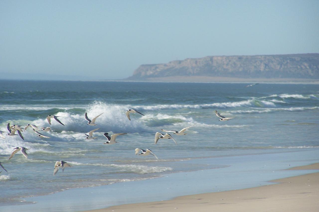 Draaihoek Lodge & Restaurant Elands Bay Exterior photo